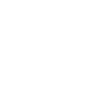 DW projekt